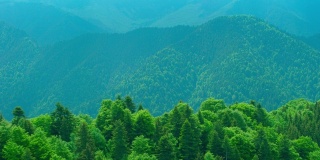从鸟瞰针叶林和群山。西霍特阿林，一个远东山区的国家。野生自然