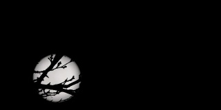 树枝后面的满月，恐怖之夜的镜头