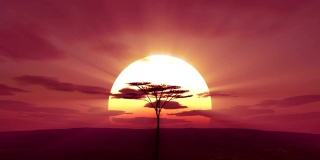 大太阳在非洲升起