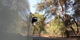 在印度古吉拉特邦的波罗森林的汽车的观点