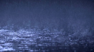雨夜。雨滴和许多水滴的特写视频素材模板下载