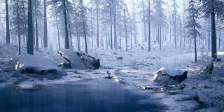 镜头掠过一条冰冻的河流，穿过一片积雪覆盖的森林