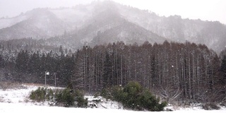 慢镜头:日本福岛山区下雪