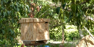 养蜂人站在一个彩绘的木制蜂箱前