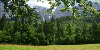 特里格拉夫国家公园，斯洛文尼亚。朱利安阿尔卑斯山脉前的绿色草地和常青森林，到达蓝色多云的天空。替身拍摄,4 k