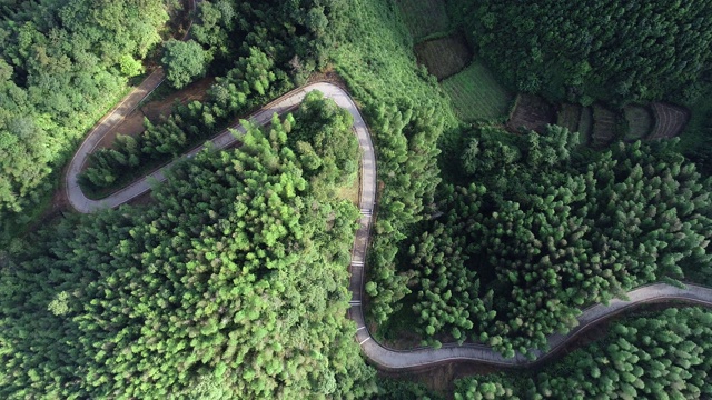 中国广西桂林龙胜的稻田