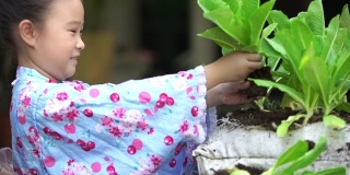 SLO MO CS亚洲小女孩在日本的裙子是收集蔬菜，她自己种植在家里。