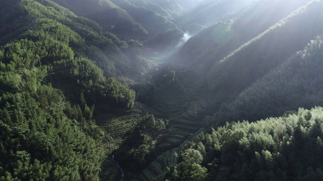 中国广西桂林龙胜的稻田