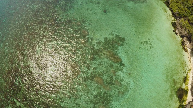 保和岛海岸鸟瞰图。天线。鱼眼视图。菲律宾