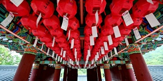 寺庙天花板上用白纸装饰的中国传统红灯笼