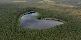 芬兰心形湖的鸟瞰图