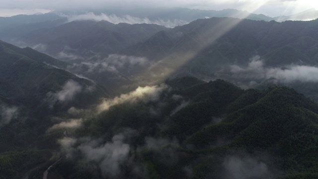 竹林在中国桂林