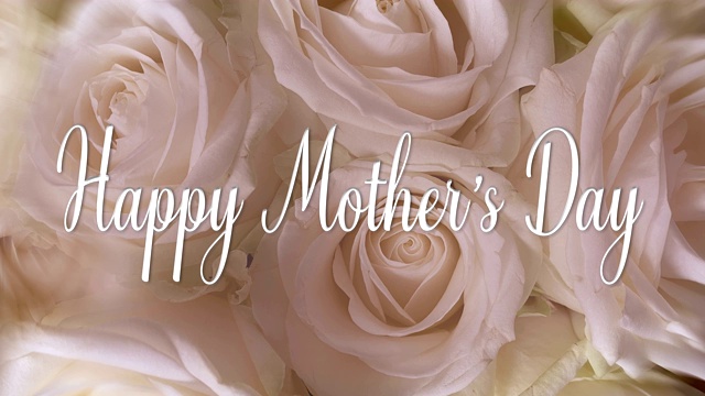 “母亲节快乐”短信动画，4K视频循环。