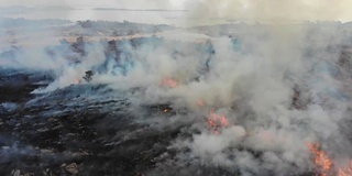 空中史诗野火灾难，燃烧的草地和地面，消防员和志愿者战斗