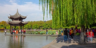 杭州城市阳光明媚的夏日著名的湖湾宝塔拥挤的码头全景，时光流逝4k中国