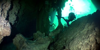 墨西哥尤卡坦的地下洞穴潜水之美。