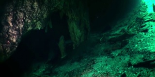 墨西哥尤卡坦水下洞穴之美。