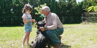 大流行期间，孙女和祖父在花园里分享时光