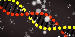 动画多分子和化学元素和DNA菌株漂浮在黑色背景