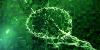 黑色背景下绿色连接的DNA株和人类大脑的动画