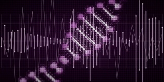 在紫色背景下，以声波上下旋转的DNA株动画