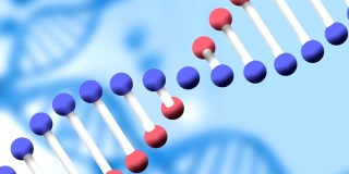 DNA菌株在蓝色背景下旋转的动画