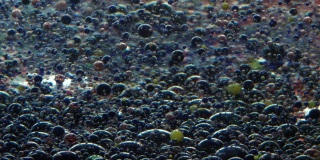 不同大小的多色球在液体中移动并落到底部