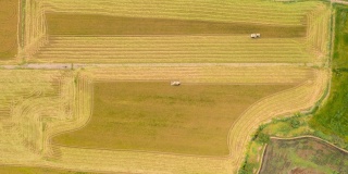 4K时间推移:俯视图联合收割机在茉莉花稻田的操作。
