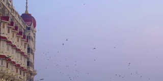 鸽子在印度孟买泰姬玛哈宫酒店前飞翔。