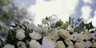 美丽的花装饰白玫瑰和绿色的花瓣。