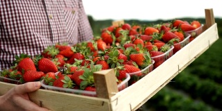 箱的草莓