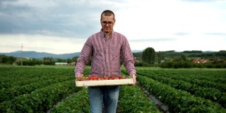 农夫带了满满一箱草莓