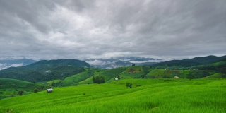 泰国清迈Pa Pong Piang的稻田梯田和云海。股票视频4 k