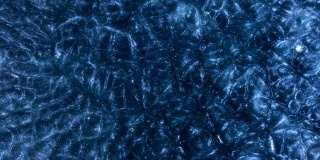 蓝色虚空变形流动漩涡沸腾抽象迷幻宇宙有机图案背景