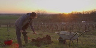 日落时分，一名男子在田园诗般的山坡上为果树挖洞