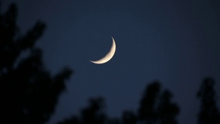 一弯新月挂在天空中，前景是随风飘动的树木视频素材模板下载