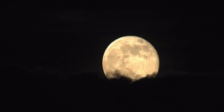 一轮超级满月从乌云中升起
