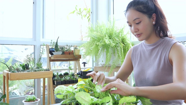 亚洲妇女园丁在家里的花园里给植物浇水。