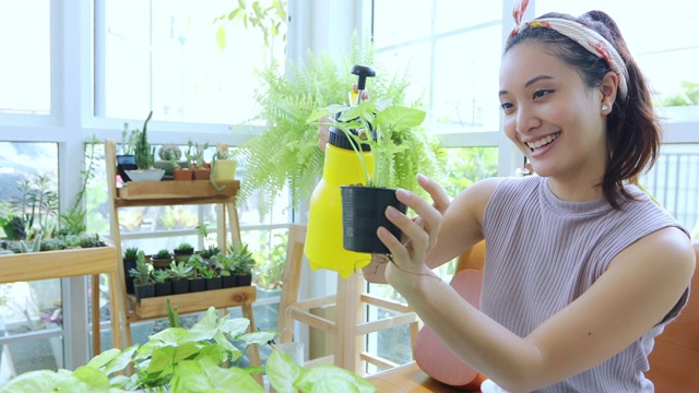 亚洲妇女园丁在家里的花园里给植物浇水。