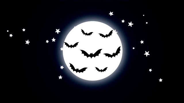 4K万圣节夜动画-蝙蝠在月亮前面|可循环