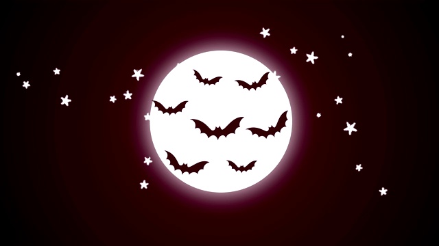 4K万圣节夜动画-蝙蝠在月亮前面|可循环