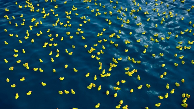 成千上万只橡皮鸭在海里，3D动画