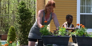 母亲和儿子园艺插花