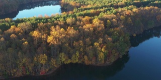 五颜六色的树在湖半岛，奥因斯米尔斯，美国马里兰州