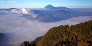 富士山与草地前景，川口湖，日本