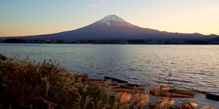 富士山与草地前景，川口湖，日本