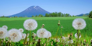 Yotei山(北海道Niseko)