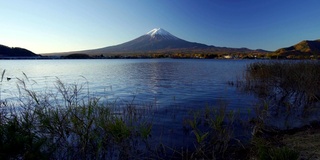 富士山与草地前景，川口湖，日本