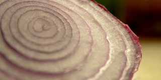 洋葱紫色切段宏特写植物细胞生物学