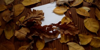 桌上是白纸、秋叶和铅笔。秋叶落在一张白纸上。慢落橡树树叶在备忘录。准备写信、诗歌或笔记的概念。